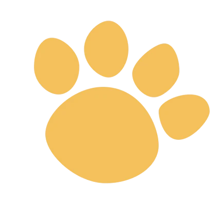 Pawfect Care