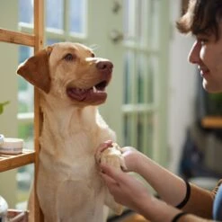 Musher's Secret Paw Protection Natural Dog Wax -Pawfect Care 100812 PT4. AC SS1800 V1683923048