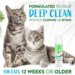 TropiClean Waterless Dander Reducing Cat Shampoo -Pawfect Care 101325 PT4. AC SS1800 V1684411922