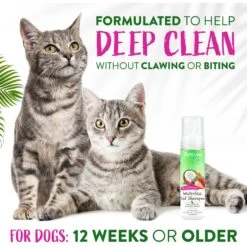 TropiClean Waterless Deep Cleaning Cat Shampoo -Pawfect Care 101327 PT4. AC SS1800 V1684407405