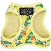 Sassy Woof Zest Friends Cat Harness -Pawfect Care 1019734 MAIN. AC SS1800 V1699919012