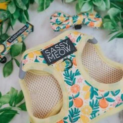 Sassy Woof Zest Friends Cat Harness -Pawfect Care 1019734 PT2. AC SS1800 V1699915841