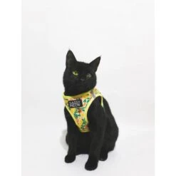 Sassy Woof Zest Friends Cat Harness -Pawfect Care 1019734 PT3. AC SS1800 V1699919067