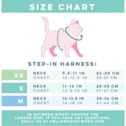 Sassy Woof Zest Friends Cat Harness -Pawfect Care 1019734 PT4. AC SS1800 V1699919067