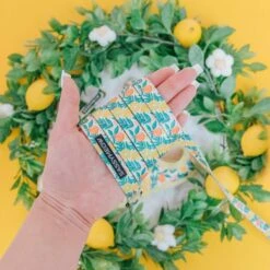 Sassy Woof Zest Friends Cat Leash, 6-ft Long -Pawfect Care 1019830 PT2. AC SS1800 V1699915844