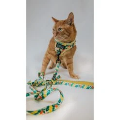 Sassy Woof Zest Friends Cat Leash, 6-ft Long -Pawfect Care 1019830 PT3. AC SS1800 V1699915840