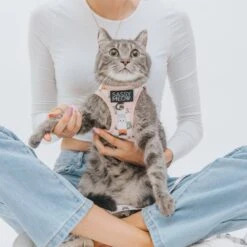 Sassy Woof Smitten Kittens Cat Harness -Pawfect Care 1019894 PT3. AC SS1800 V1699915842