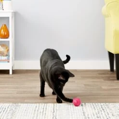 Pet Qwerks Babble Ball Kitten Toy With Catnip -Pawfect Care 102237 PT3. AC SS1800 V1589901130