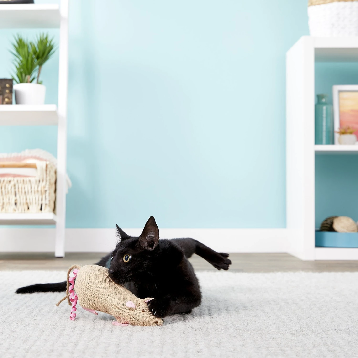 Petlinks Jeepers Creepers Cat Toy With Catnip 5 Petlinks Jeepers Creepers Cat Toy With Catnip - Image 3