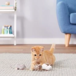 Petlinks Lil' Creepers Refillable Cat Toy With Catnip -Pawfect Care 102630 PT2. AC SS1800 V1594672264