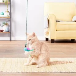 Petlinks Plume Crazy Wand Cat Toy, Color Varies -Pawfect Care 102648 PT3. AC SS1800 V1595364090