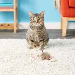 SmartyKat Bouncy Mouse Interactive Teaser Cat Toy, Color Varies -Pawfect Care 102747 PT5. AC SS1800 V1527257309