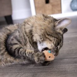 SmartyKat Chickadee Chirp Electronic Bird-Sound Cat Toy -Pawfect Care 102753 PT8. AC SS1800 V1700689276