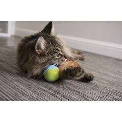 SmartyKat Flutter Balls Feathery Cat Toy -Pawfect Care 102767 PT2. AC SS1800 V1599754615