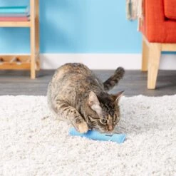 Yeowww! Catnip Cigar It's A Boy Cat Toy -Pawfect Care 102783 PT6. AC SS1800 V1527256981