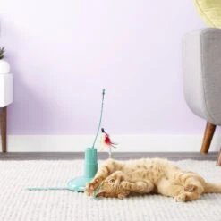 SmartyKat Loco Motion Electronic Cat Toy -Pawfect Care 102790 PT6. AC SS1800 V1527257127