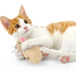 SmartyKat Madcap Mania Refillable Catnip Cat Toy, Character Varies -Pawfect Care 102792 PT3. AC SS1800 V1693926314