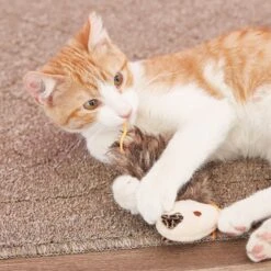 SmartyKat Madcap Mania Refillable Catnip Cat Toy, Character Varies -Pawfect Care 102792 PT5. AC SS1800 V1527257164