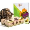 Cat Amazing Interactive Treat Maze & Puzzle Cat Toy -Pawfect Care 105304 MAIN. AC SS1800 V1591991787