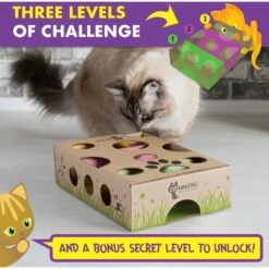 Cat Amazing Interactive Treat Maze & Puzzle Cat Toy -Pawfect Care 105304 PT2. AC SS1800 V1591991789