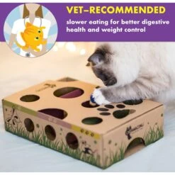 Cat Amazing Interactive Treat Maze & Puzzle Cat Toy -Pawfect Care 105304 PT3. AC SS1800 V1490298113