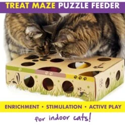 Cat Amazing Interactive Treat Maze & Puzzle Cat Toy -Pawfect Care 105304 PT4. AC SS1800 V1490298114