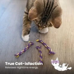 Catstages Night Time Catnip Rolls Cat Toy -Pawfect Care 105803 PT5. AC SS1800 V1636518418