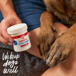 Dogswell Remedy+Recovery Professional Groomer's Styptic Powder For Dogs, Cats & Birds -Pawfect Care 107144 PT5. AC SS1800 V1650510100