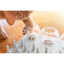 TRIXIE Activity Fun Board 5-in-1 Activity Strategy Game Cat Toy -Pawfect Care 107255 PT4. AC SS1800 V1686331326