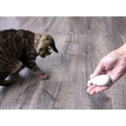 SmartyKat Loco Laser Cat Toy, Color Varies -Pawfect Care 107597 PT8. AC SS1800 V1700689391