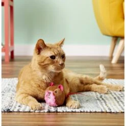 SmartyKat Chit Chatter Touch-Activated Cat Toy -Pawfect Care 107605 PT5. AC SS1800 V1527258457