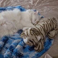 Snuggle Puppy Original Snuggle Kitty Plush Cat Behavioral Aid Anxiety Relief -Pawfect Care 108168 PT5. AC SS1800 V1688150025