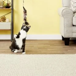 Pet Fit For Life 6 Piece Replacement Feather Pack For Wand Cat Toy -Pawfect Care 109318 PT3. AC SS1800 V1589320674