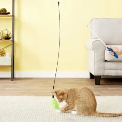 Pet Fit For Life 2 Feather Retractable Wand Cat Toy, Blue & Green -Pawfect Care 109322 PT2. AC SS1800 V1553884390