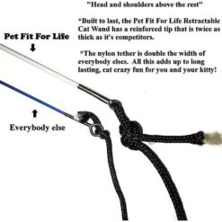 Pet Fit For Life 2 Feather Retractable Wand Cat Toy, Blue & Green -Pawfect Care 109322 PT5. AC SS1800 V1494537354