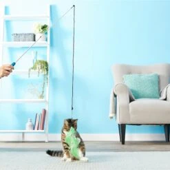 Pet Fit For Life 2 Fish Feather Wand Cat Toy -Pawfect Care 109324 PT2. AC SS1800 V1589320687
