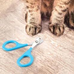 ConairPROPET Cat Nail Clippers -Pawfect Care 109649 PT4. AC SS1800 V1691506555