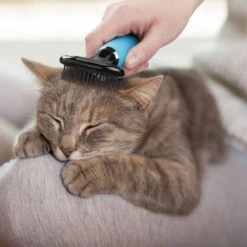 ConairPROPET Soft Slicker Cat Brush -Pawfect Care 109658 PT5. AC SS1800 V1691437515