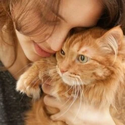 Gerrard Larriett Aromatherapy Pet Care Dog & Cat Dental Spray -Pawfect Care 109684 PT8. AC SS1800 V1617323300