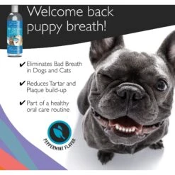 Emmy's Best Pet Products Advanced Pet Dental Care Dog & Cat Dental Water Additive -Pawfect Care 110160 PT2. AC SS1800 V1612411006