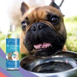 Emmy's Best Pet Products Advanced Pet Dental Care Dog & Cat Dental Water Additive -Pawfect Care 110160 PT4. AC SS1800 V1612399335