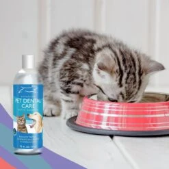 Emmy's Best Pet Products Advanced Pet Dental Care Dog & Cat Dental Water Additive -Pawfect Care 110160 PT5. AC SS1800 V1612399878