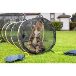 Outback Jack Kitty Compound Cat Playpen Tent & Tunnel -Pawfect Care 111178 PT4. AC SS1800 V1561727244