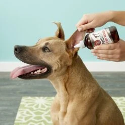 PetSilver Antimicrobial Dog & Cat Ear Wash -Pawfect Care 111363 PT3. AC SS1800 V1543610297