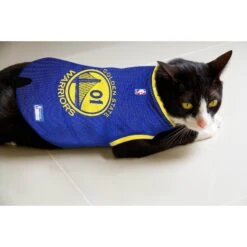 Pets First NBA Dog & Cat Mesh Jersey, Golden State Warriors -Pawfect Care 111967 PT5. AC SS1800 V1539982937