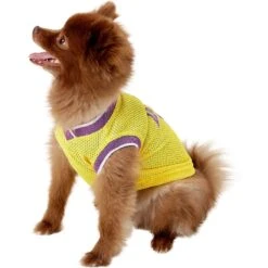 Pets First NBA Dog & Cat Mesh Jersey -Pawfect Care 111989 PT3. AC SS1800 V1539982969