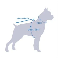 Pets First NBA Dog & Cat Mesh Jersey -Pawfect Care 111989 PT8. AC SS1800 V1541180284