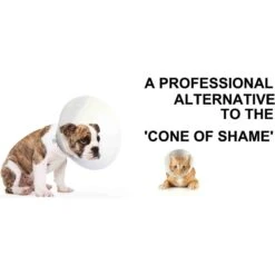 Suitical Recovery Suit For Cats -Pawfect Care 113599 PT2. AC SS1800 V1488999162