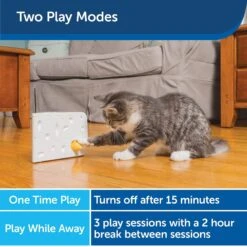 PetSafe Cheese Motion Cat Toy -Pawfect Care 114120 PT3. AC SS1800 V1599813056