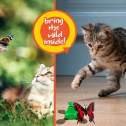 Pet Zone Fly By Spinner Interactive Cat Toy -Pawfect Care 115571 PT5. AC SS1800 V1637362147